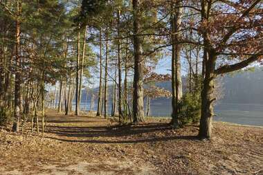 191211  (118) SONY .jpg